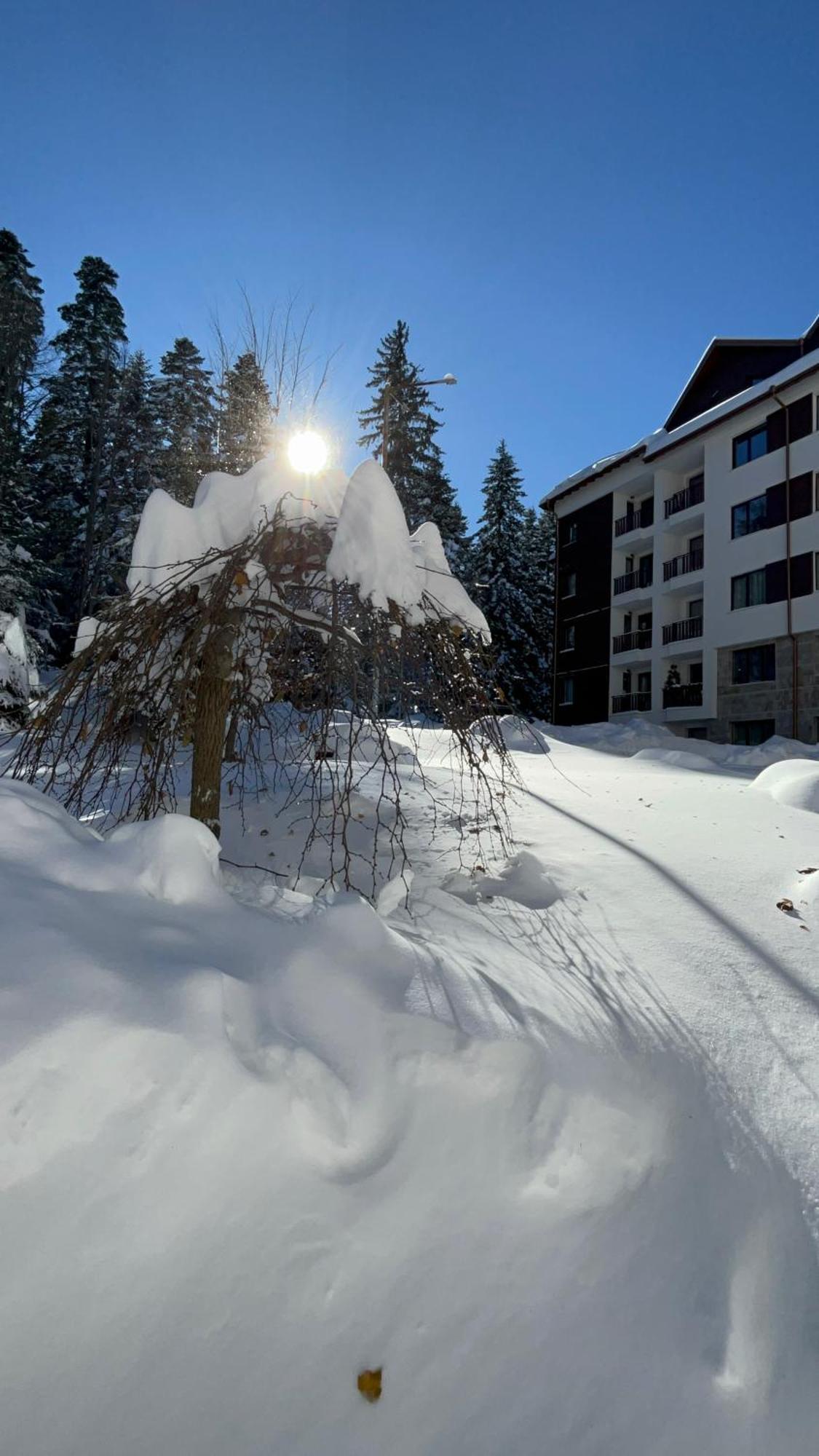 Borovets Gardens B21 Morunov Apart Kültér fotó